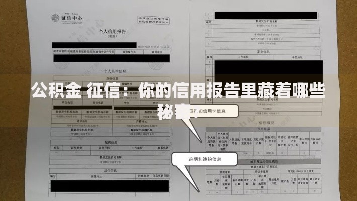 公积金 征信:你的信用报告里藏着哪些秘密? 公积金 征信:你的信用报告里藏着哪些秘密?