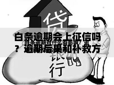 白条逾期会上征信吗?逾期后果和补救方法全解析 白条逾期会上征信吗?逾期后果和补救方法全解析