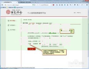 网络征信查询：如何快速掌握个人信用状况？