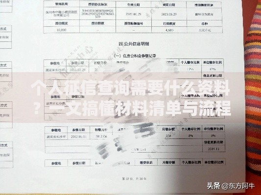 个人征信查询需要什么资料？一文搞懂材料清单与流程