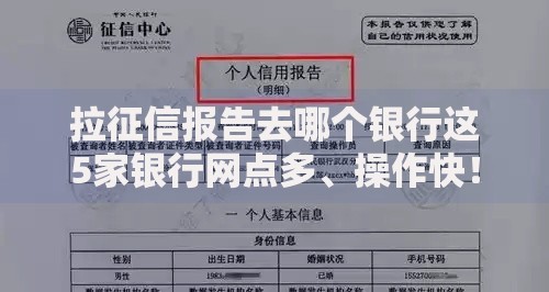 拉征信报告去哪个银行这5家银行网点多、操作快！