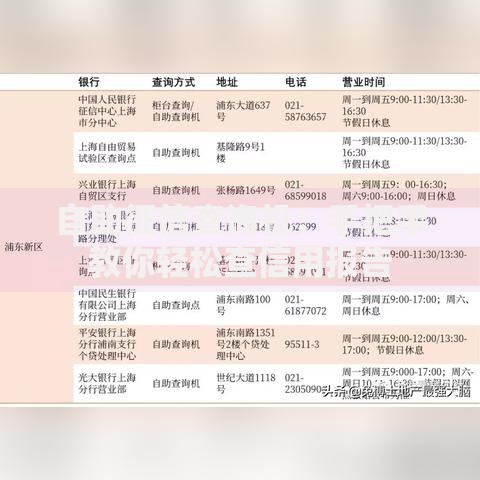 自助征信查询机：手把手教你轻松查信用报告