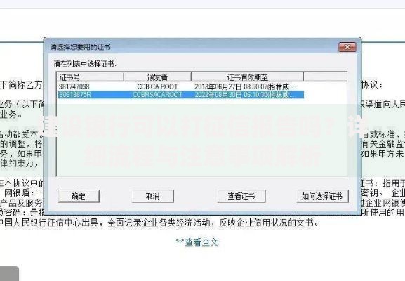 建设银行可以打征信报告吗？详细流程与注意事项解析