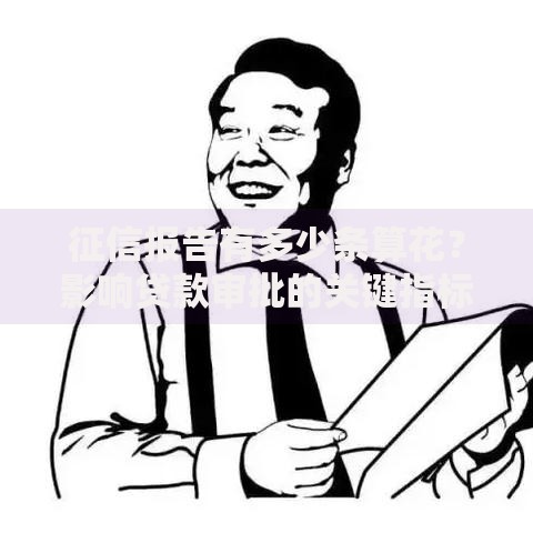 征信报告有多少条算花？影响贷款审批的关键指标解析