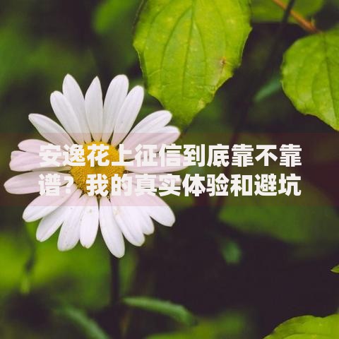 安逸花上征信到底靠不靠谱？我的真实体验和避坑指南