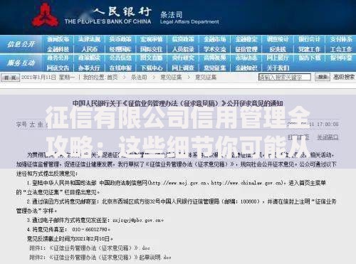 征信有限公司信用管理全攻略：这些细节你可能从未注意过