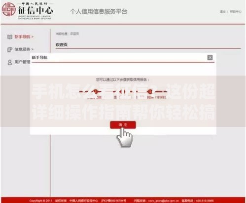 手机怎么看征信？这份超详细操作指南帮你轻松搞定！