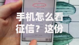 手机怎么看征信？这份超详细操作指南帮你轻松搞定！