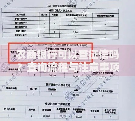 农商银行可以查征信吗？查询流程与注意事项全解析