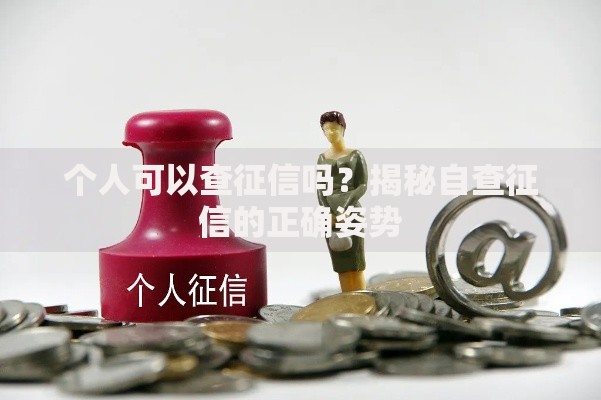 个人可以查征信吗？揭秘自查征信的正确姿势