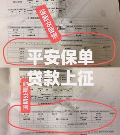 平安保单贷款上征信吗?一文读懂对信用记录的影响 平安保单贷款上征信吗?一文读懂对信用记录的影响