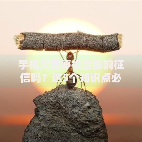 手机欠费停机会影响征信吗？这5个知识点必须了解！