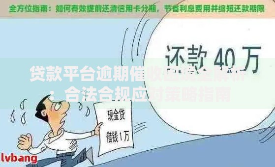 贷款平台逾期催收困境全解析：合法合规应对策略指南