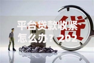 平台贷款收紧怎么办？2023年贷款难题应对指南