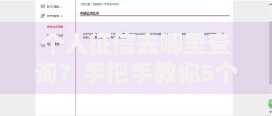 个人征信去哪里查询？手把手教你5个正规渠道
