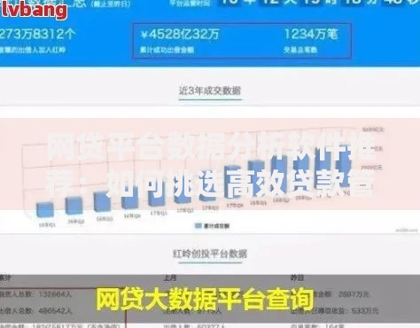 网贷平台数据分析软件推荐：如何挑选高效贷款管理工具？
