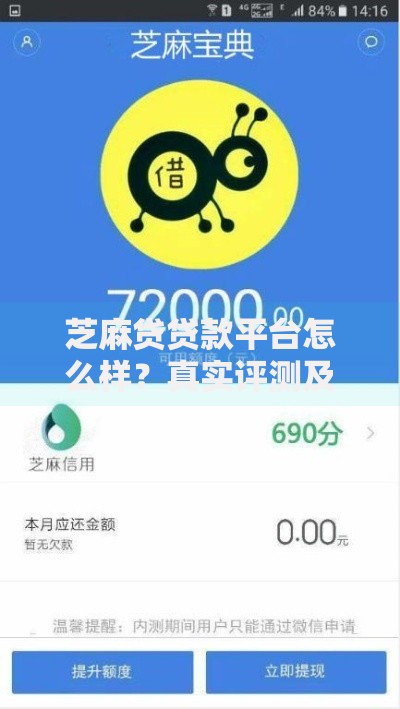 暖水贷系列是哪个口子？解析正规借款渠道与风险防范