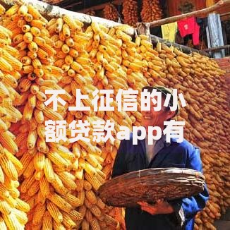不上征信的小额贷款app有哪些？这5个平台真实体验分享