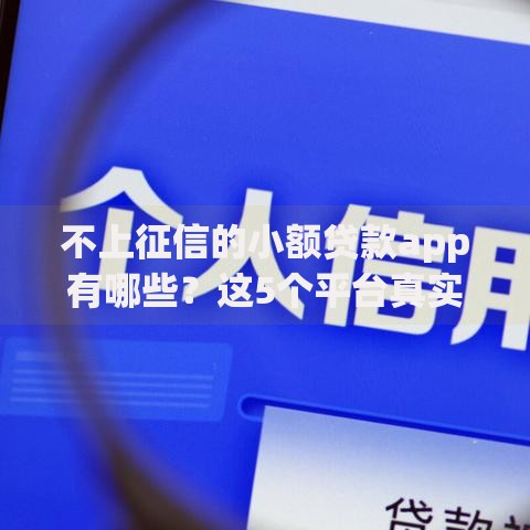 不上征信的小额贷款app有哪些？这5个平台真实体验分享