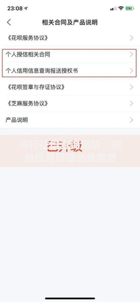 央行征信查询系统：你的信用管理必备指南