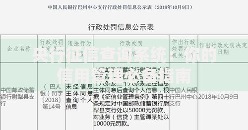 央行征信查询系统：你的信用管理必备指南