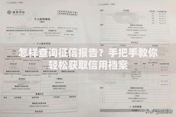 怎样查询征信报告？手把手教你轻松获取信用档案