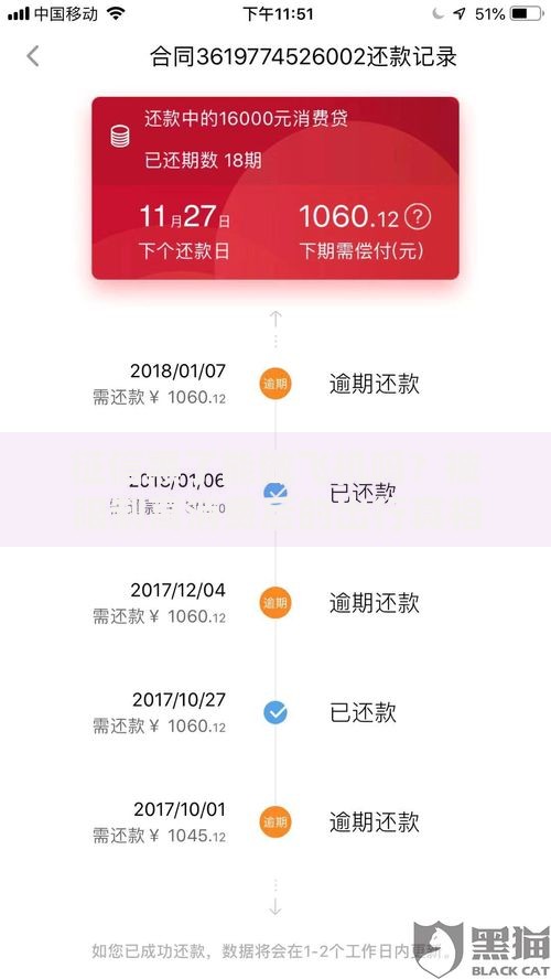 征信黑了能做飞机吗？被限制高消费后的出行真相解析
