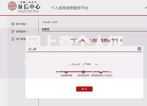 网上查个人征信，怎么操作才安全又省心？