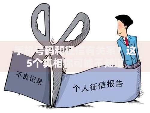 手机号码和征信有关系？这5个真相你可能不知道