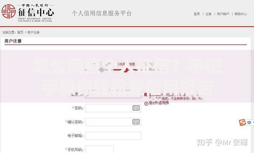 怎么网查个人征信？手把手教你轻松查信用报告