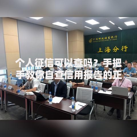 个人征信可以查吗？手把手教你自查信用报告的正确姿势