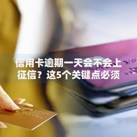 信用卡逾期一天会不会上征信？这5个关键点必须知道！