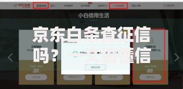 京东白条查征信吗？一文搞懂信用记录那些事儿