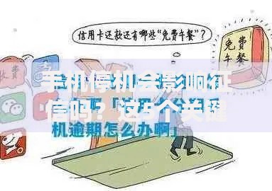 手机停机会影响征信吗？这5个关键点你必须知道！