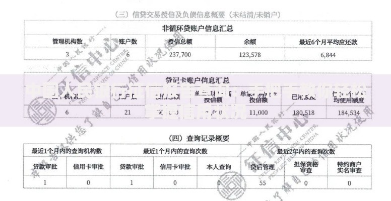 中国人民银行征信报告查询：手把手教你轻松掌握信用状况