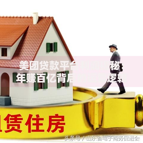 美团贷款平台利润揭秘：年赚百亿背后的运营逻辑