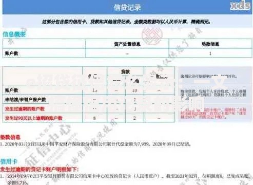 e招贷征信怎么显示：一文搞懂信用记录的影响
