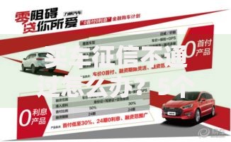 买车征信不通过怎么办？5个实用解决方法帮你顺利提车
