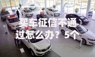 买车征信不通过怎么办？5个实用解决方法帮你顺利提车