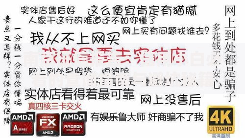 南京征信报告：信用小白必看的查询指南与避坑秘籍