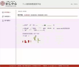 怎么查自己的征信?手把手教你轻松获取信用报告 怎么查自己的征信?手把手教你轻松获取信用报告
