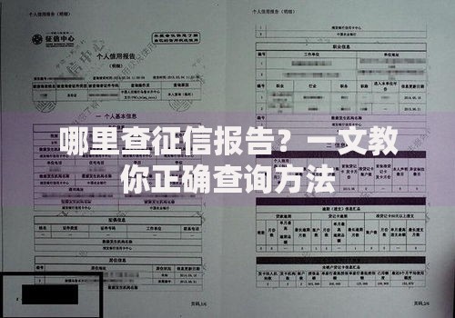哪里查征信报告？一文教你正确查询方法