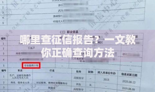 哪里查征信报告？一文教你正确查询方法