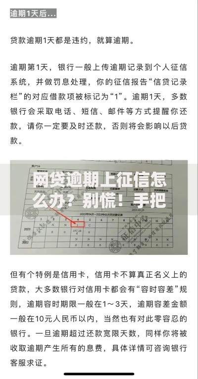 网贷逾期上征信怎么办?别慌!手把手教你补救攻略 网贷逾期上征信怎么办?别慌!手把手教你补救攻略