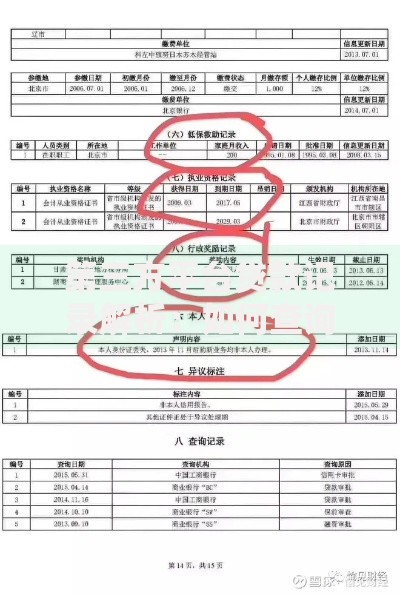 第三方平台贷款记录解析：如何查询、影响及管理技巧