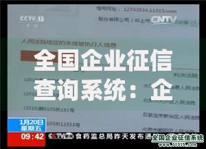 全国企业征信查询系统：企业信用管理必备工具
