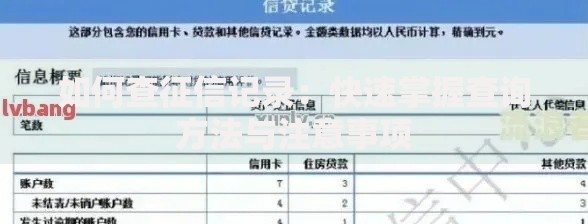 如何查征信记录：快速掌握查询方法与注意事项