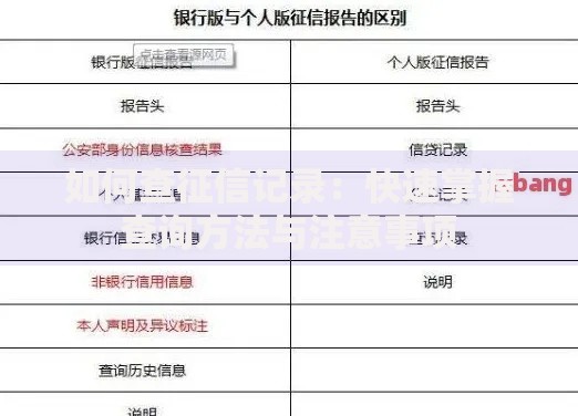 如何查征信记录：快速掌握查询方法与注意事项