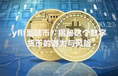 yfll是啥币？揭秘这个数字货币的潜力与风险