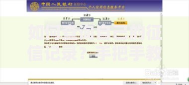 如何查询自己的征信记录？手把手教你轻松掌握个人信用报告